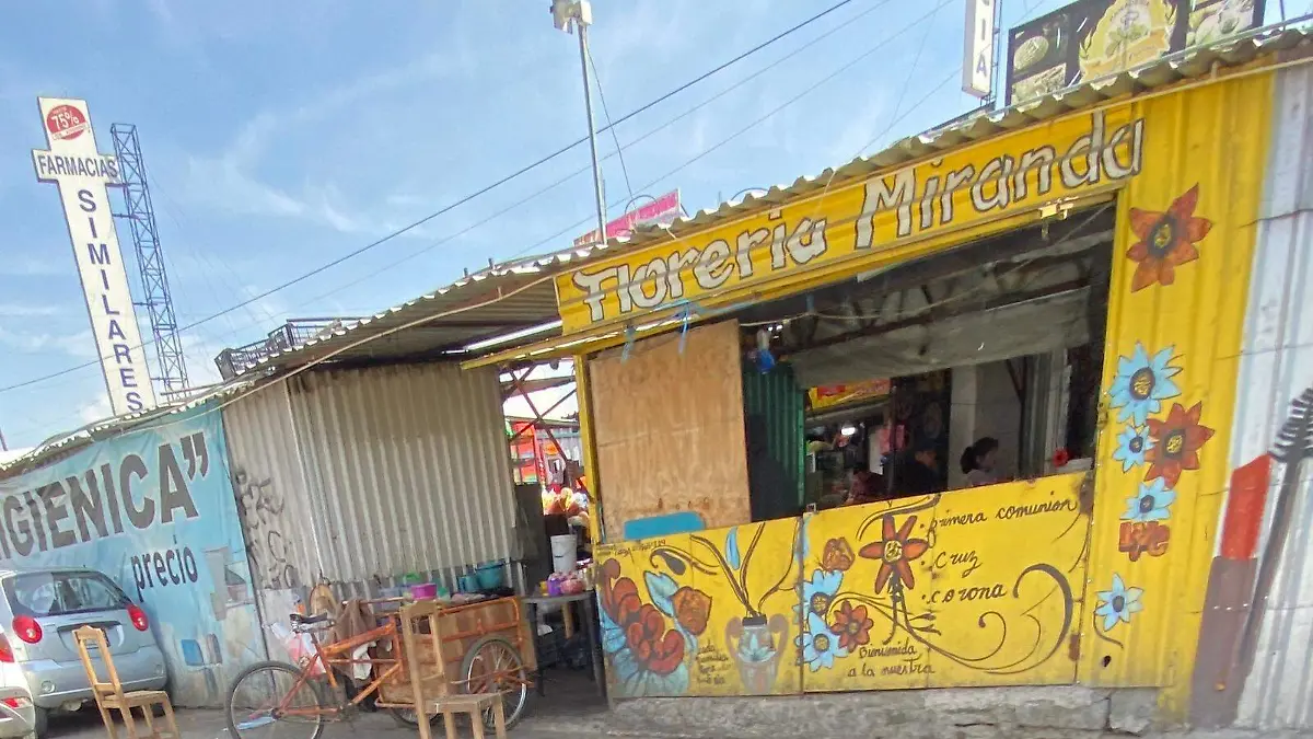 WhatsApp Image 2026-01-20 at 18.55.03