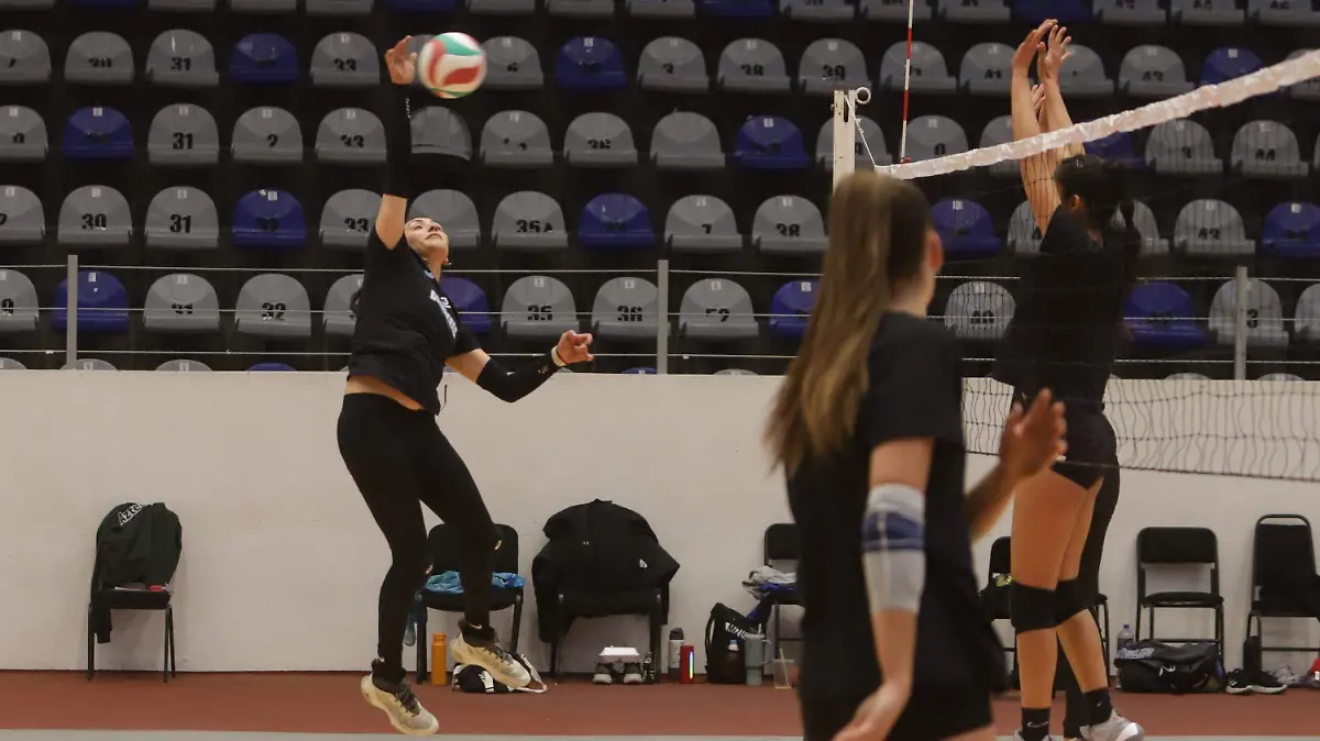 WhatsApp Image 2026-01-21 at 3.53.05 PM