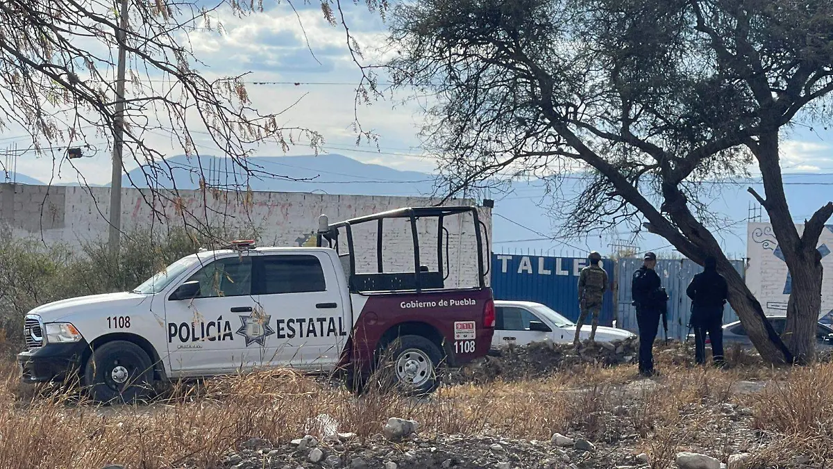 WhatsApp Image 2026-01-21 at 16.50.13