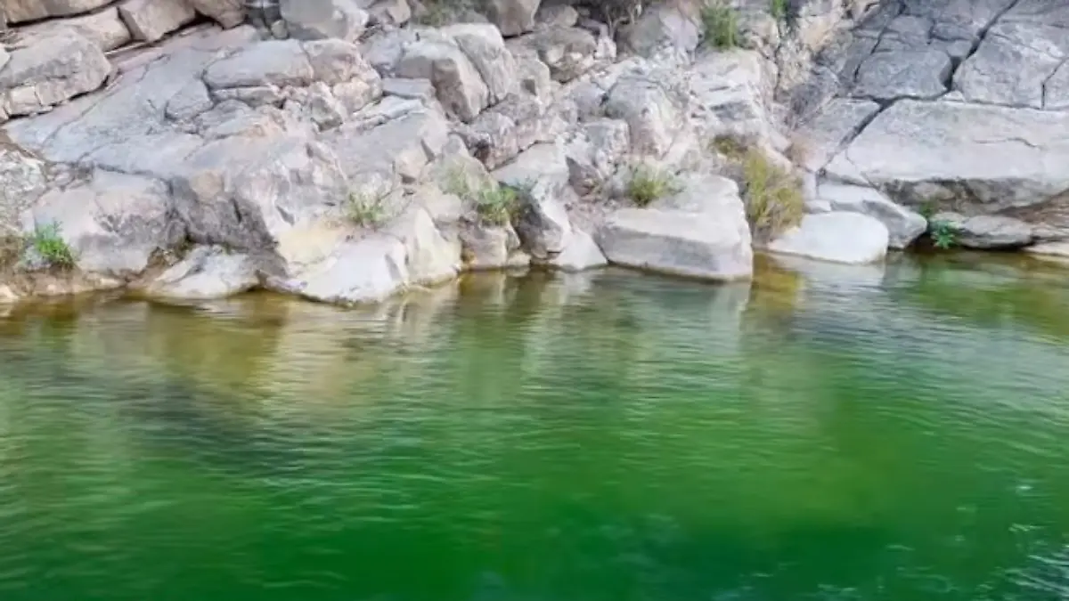 Atexcal, el oasis natural del sur de Puebla que invita a reconectar con la naturaleza
