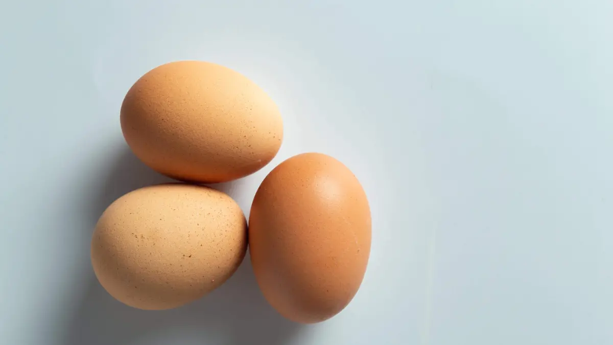 Puebla enfrenta altos costos del huevo