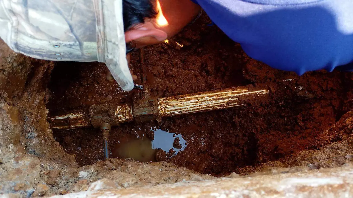 WhatsApp Image 2026-01-22 at 17.48.32