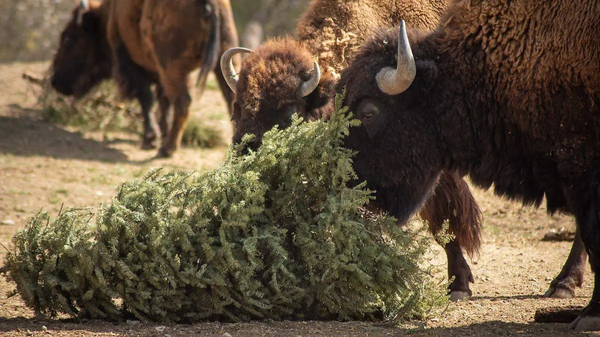 WhatsApp Image 2026-01-23 at 15.26.56