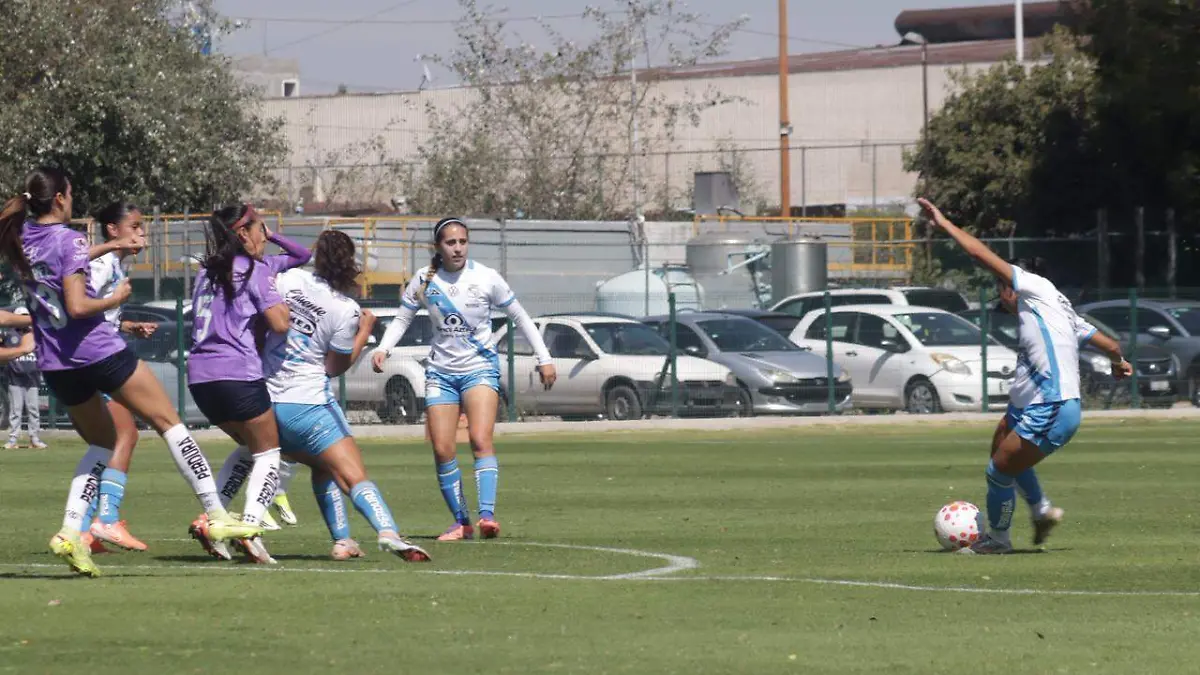 WhatsApp Image 2026-01-25 at 2.00.03 PM