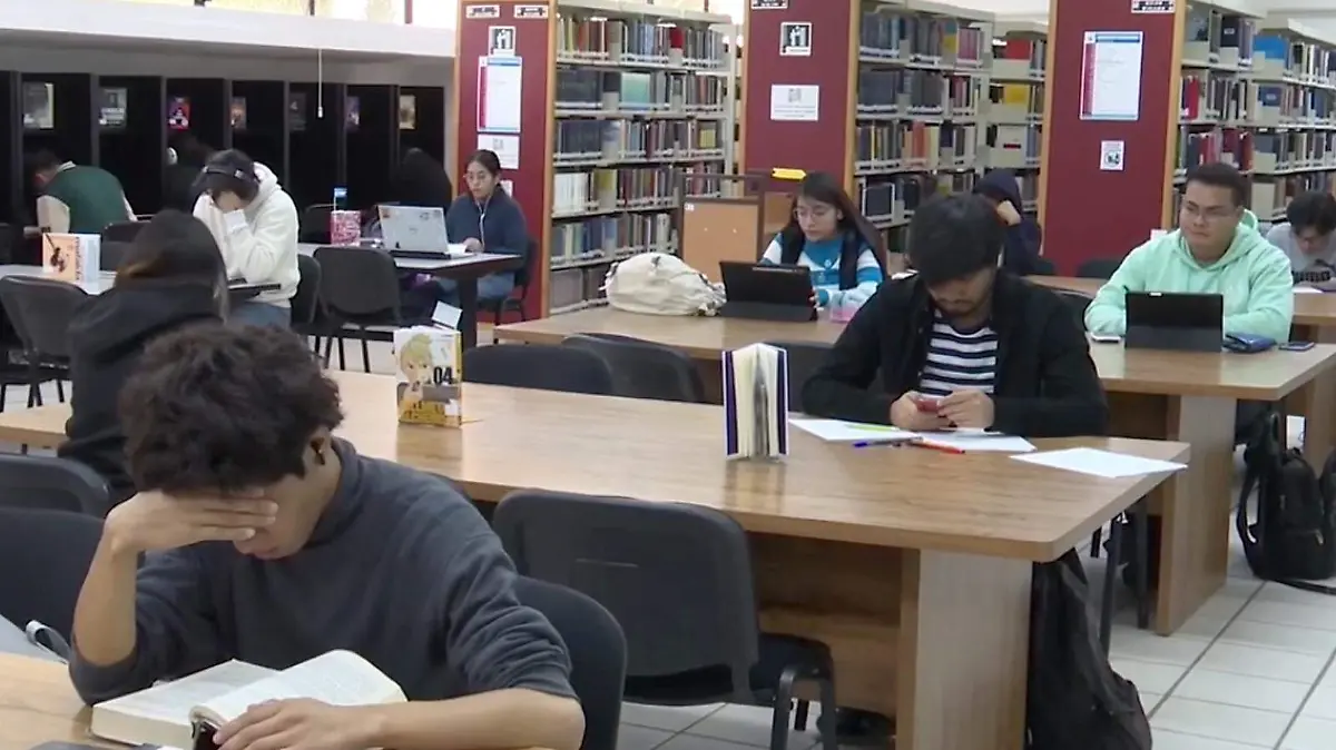 WhatsApp Image 2026-01-25 at 14.45.10