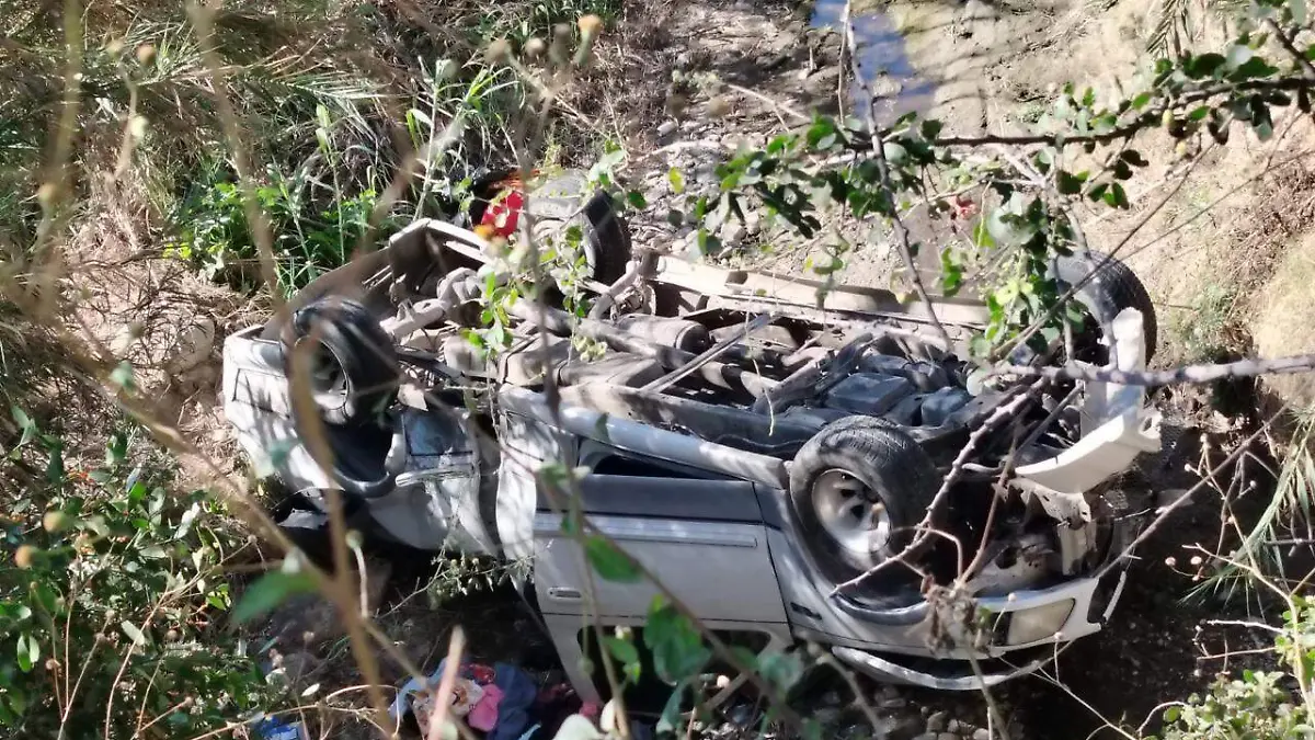 WhatsApp Image 2026-01-25 at 15.29.19