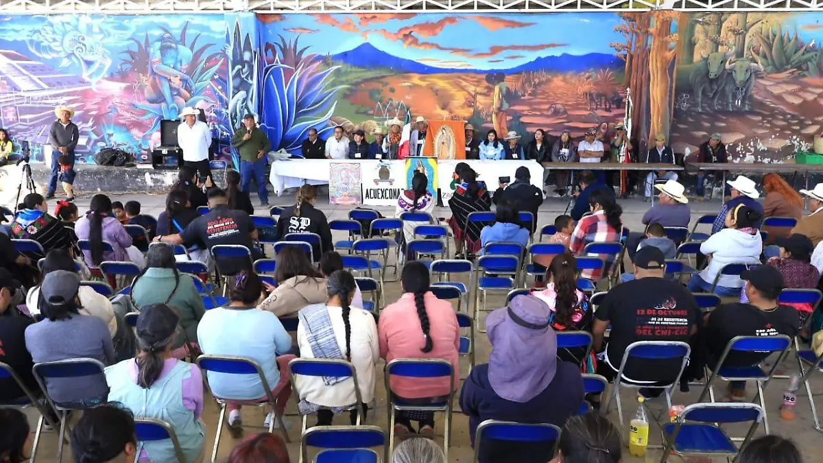 WhatsApp Image 2026-01-25 at 12.54.48 PM (1)