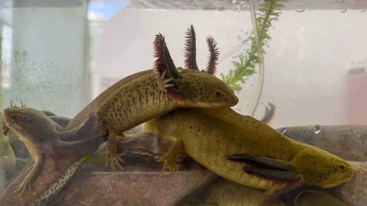 WhatsApp Image 2026-01-26 at 14.53.37