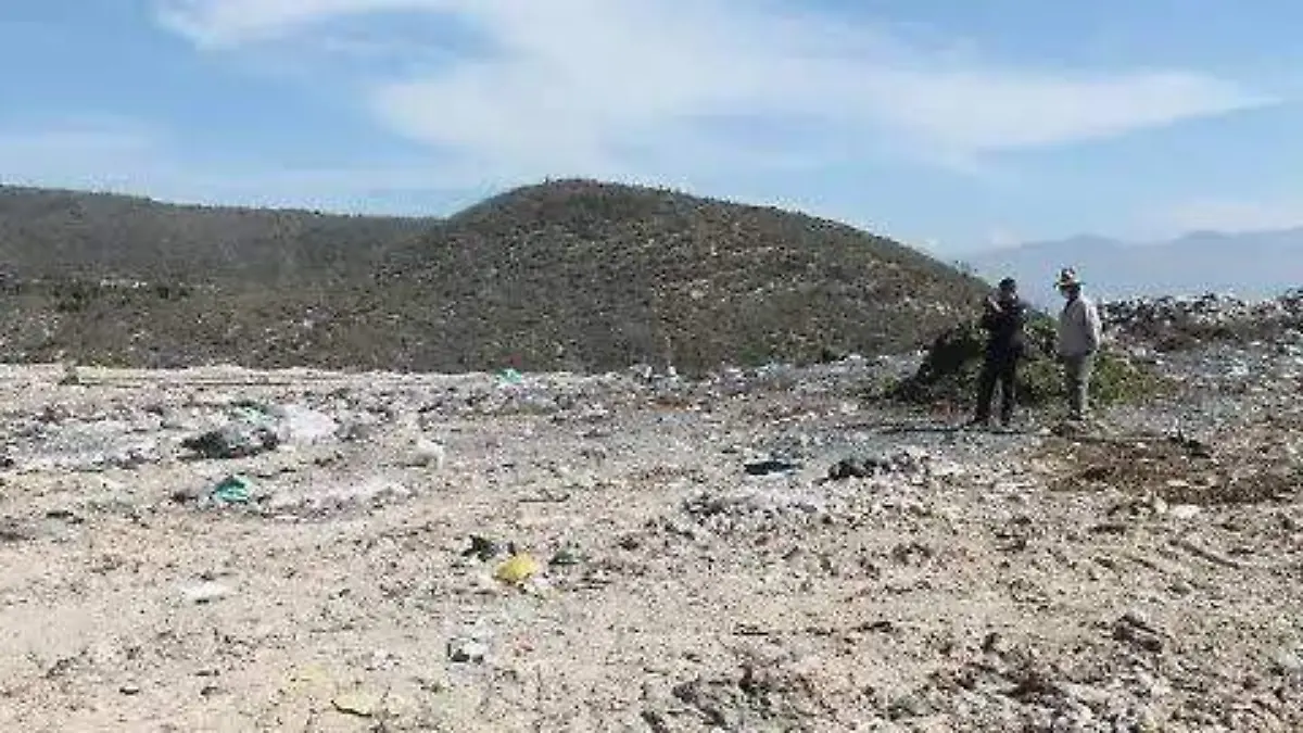 WhatsApp Image 2026-01-26 at 17.26.02