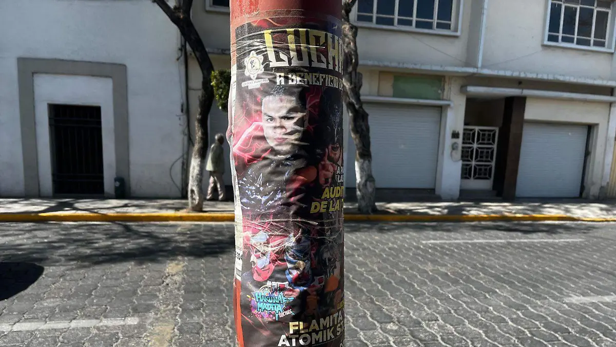 WhatsApp Image 2026-01-27 at 1.55.07 PM