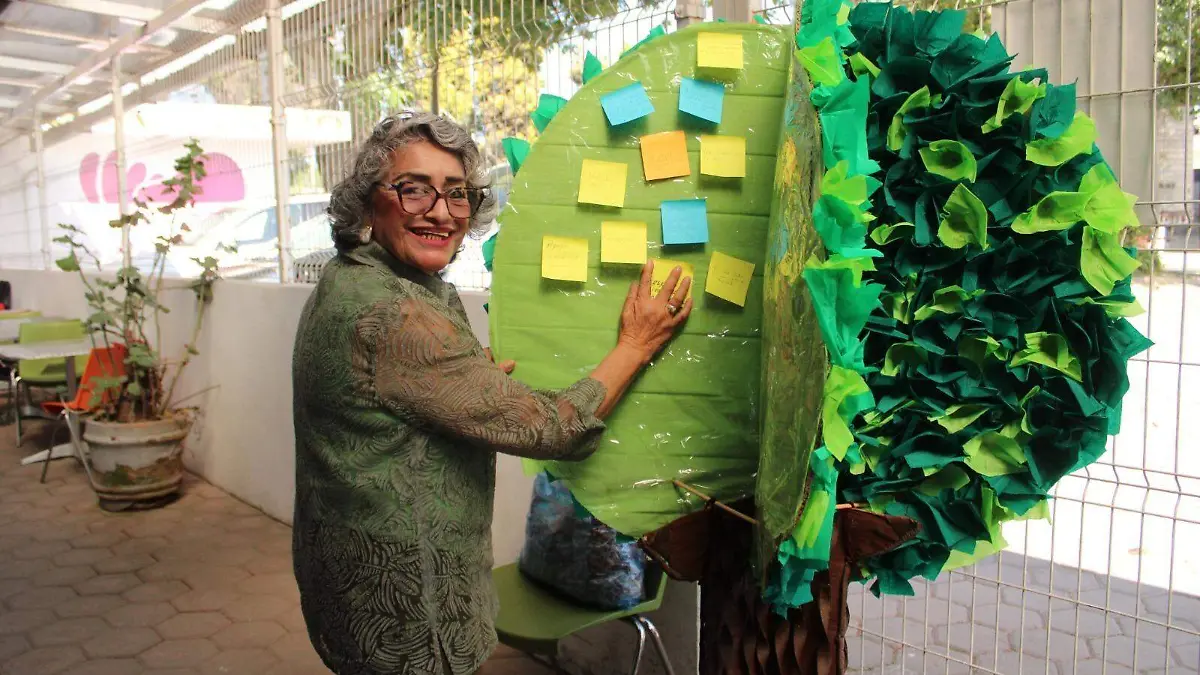 WhatsApp Image 2026-01-27 at 15.41.12 (1)