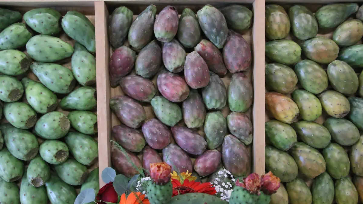 Acatzingo suma un nuevo orgullo agroalimentario