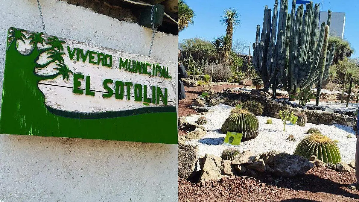 en tehuacán impulsa jardín botánico 