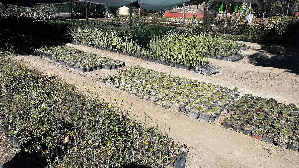 WhatsApp Image 2026-01-28 at 5.44.56 PM