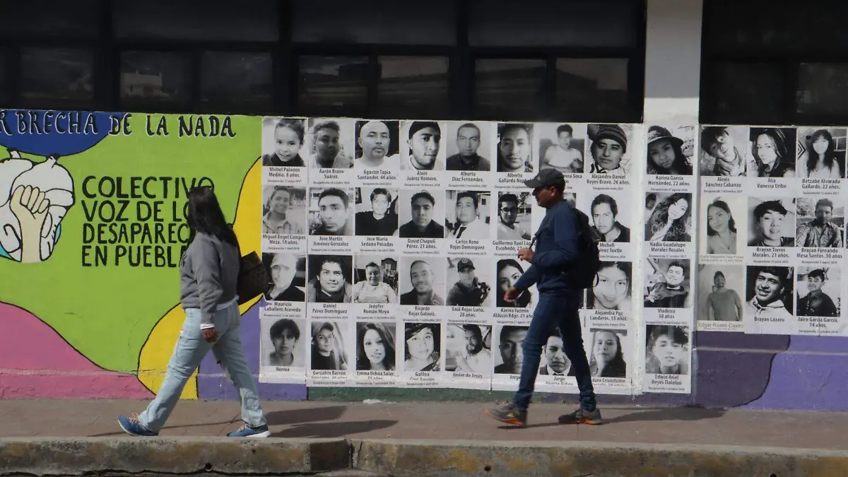 WhatsApp Image 2026-01-28 at 7.29.51 PM