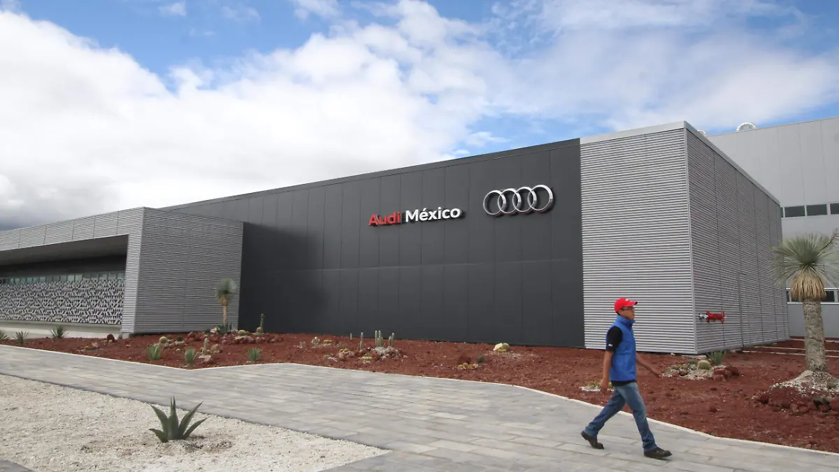 AUDI JULIOCM 211014 003.JPG