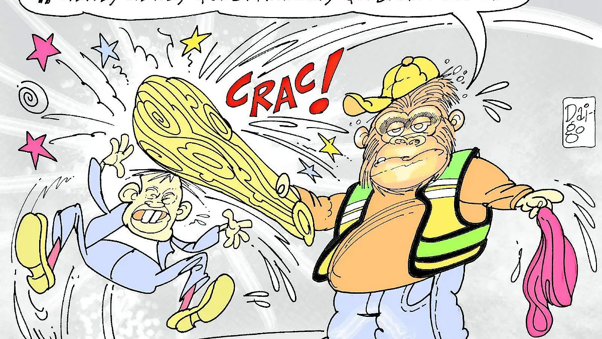 WhatsApp Image 2026-01-29 at 9.56.22 PM