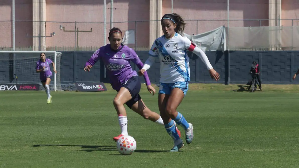 WhatsApp Image 2026-01-25 at 12.49.45 PM