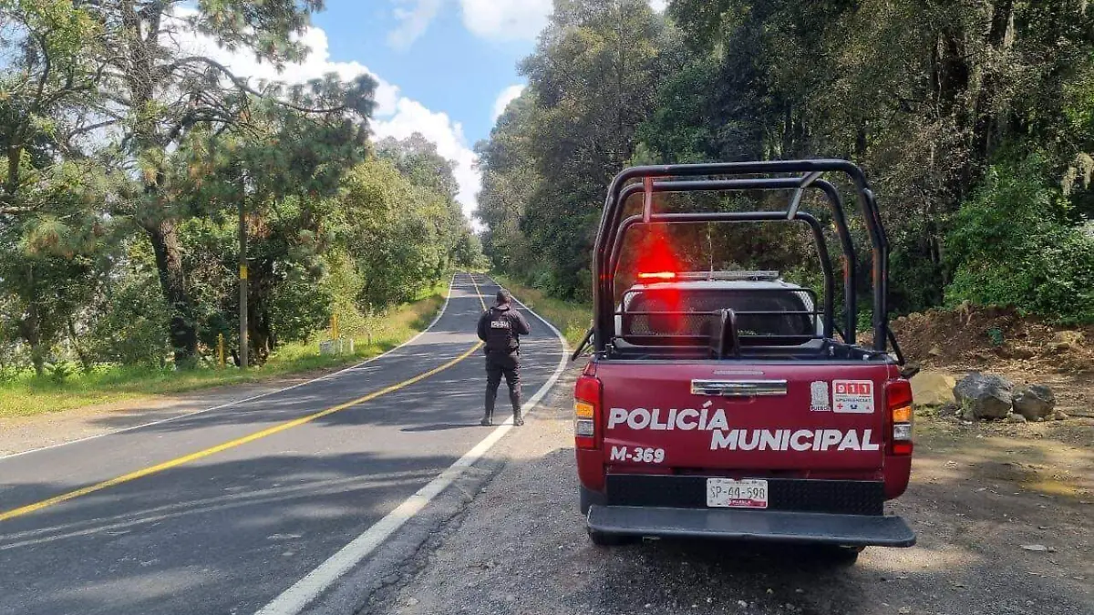 WhatsApp Image 2026-01-30 at 5.15.35 PM