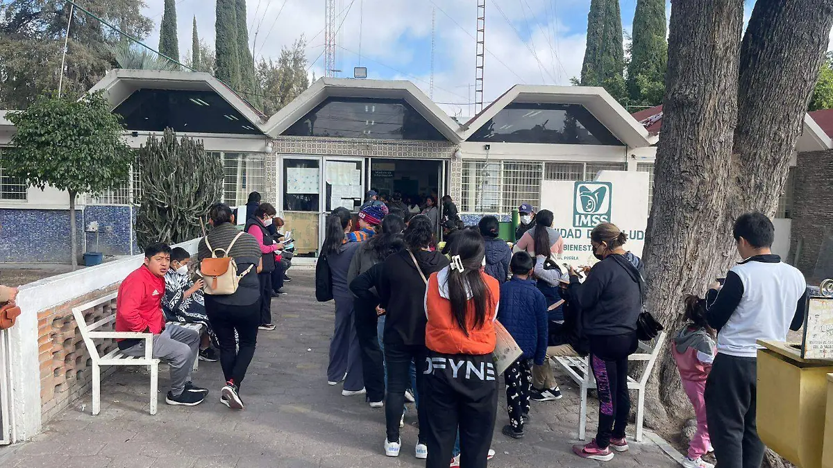 WhatsApp Image 2026-01-30 at 4.35.29 PM