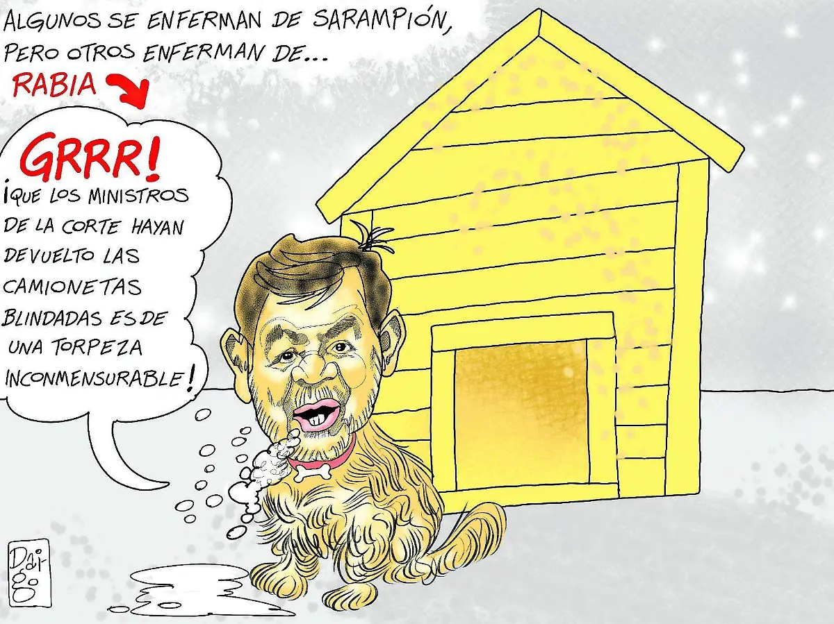 WhatsApp Image 2026-01-30 at 9.40.29 PM