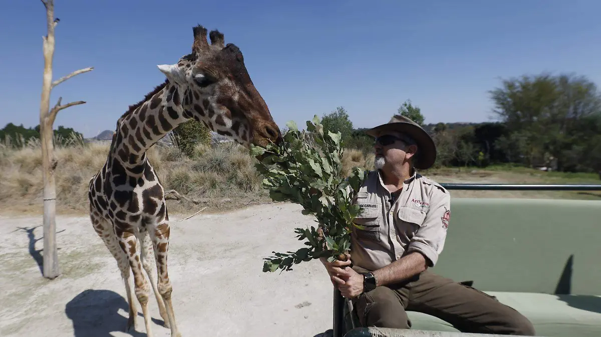 WhatsApp Image 2026-01-30 at 9.06.09 PM