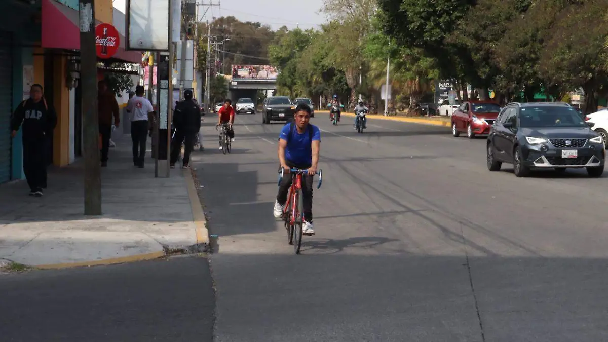 WhatsApp Image 2026-01-31 at 7.33.03 PM