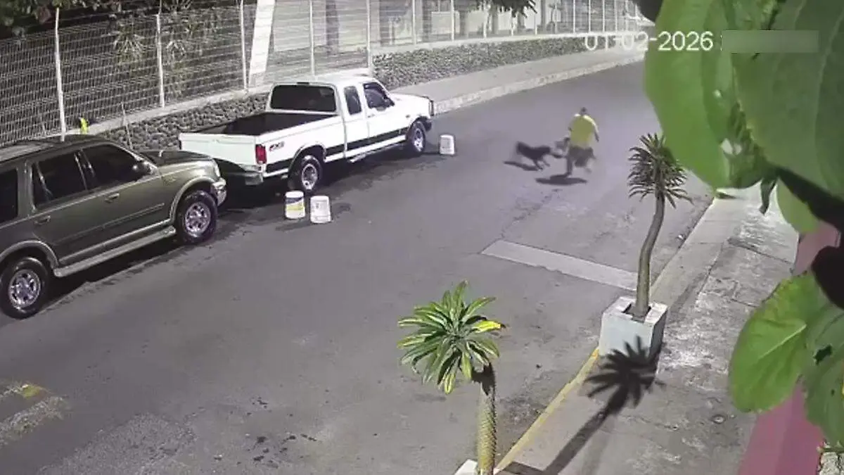 Poblano sufre ataque de perros 