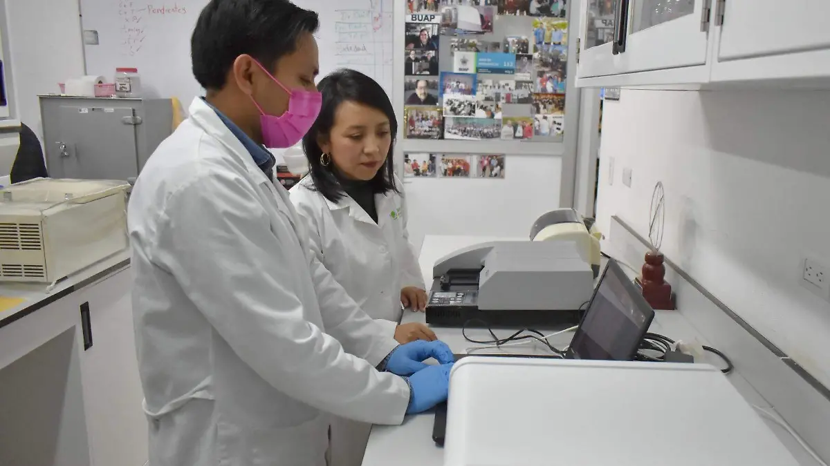 WhatsApp Image 2026-02-02 at 3.32.28 PM