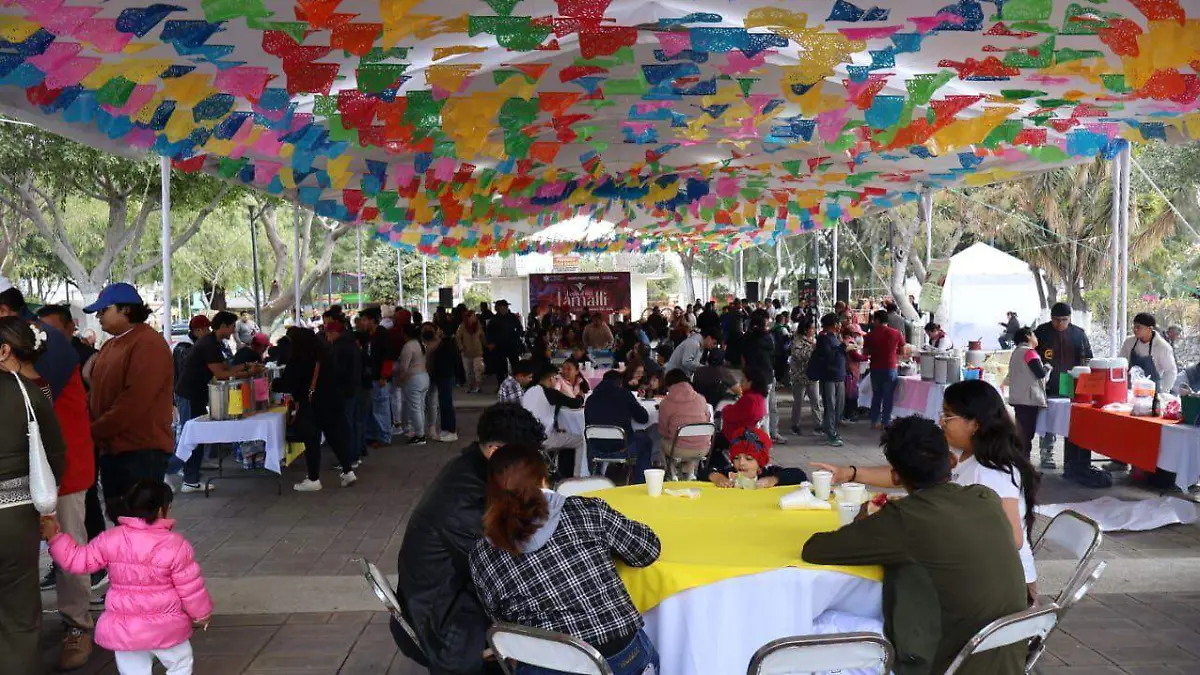 WhatsApp Image 2026-02-03 at 4.00.40 PM