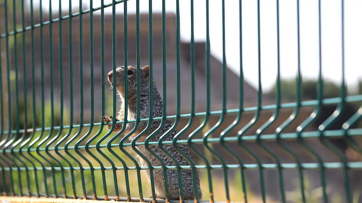 WhatsApp Image 2026-02-03 at 6.17.03 PM (2)