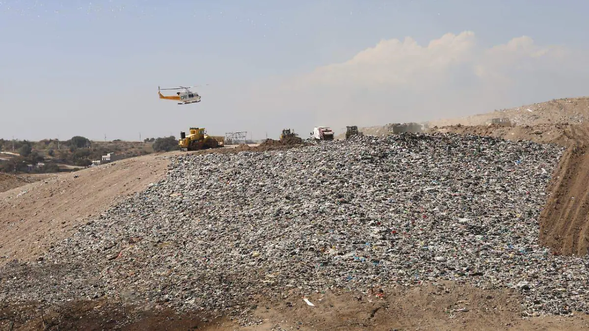 WhatsApp Image 2026-02-03 at 3.04.52 PM