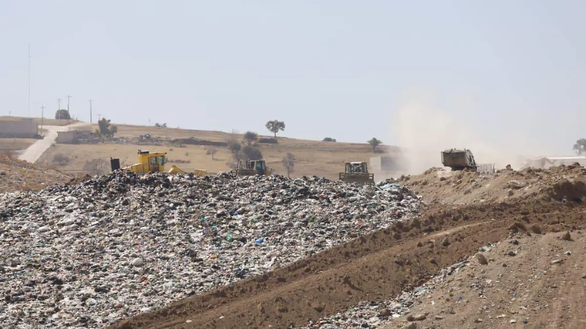 WhatsApp Image 2026-02-03 at 3.04.53 PM