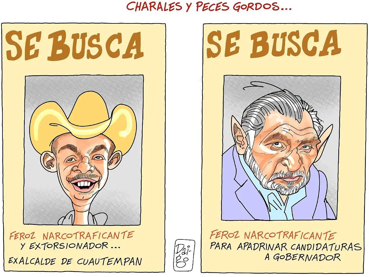 WhatsApp Image 2026-02-04 at 5.44.02 PM