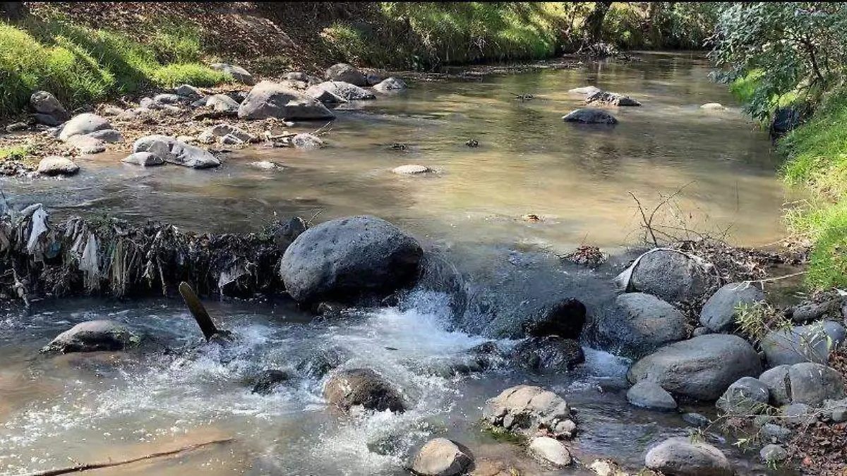 WhatsApp Image 2026-02-04 at 6.06.17 PM