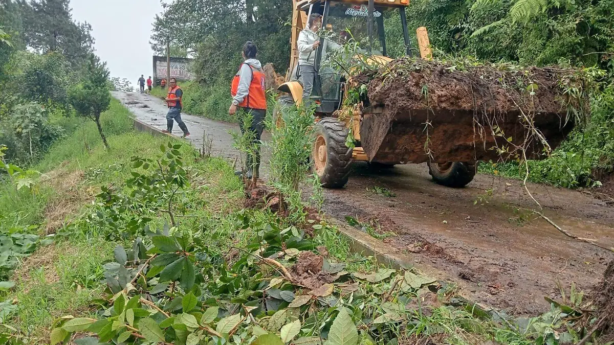 WhatsApp Image 2026-02-06 at 4.44.50 PM