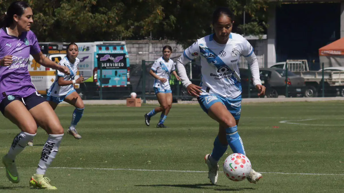 WhatsApp Image 2026-02-07 at 2.28.03 PM