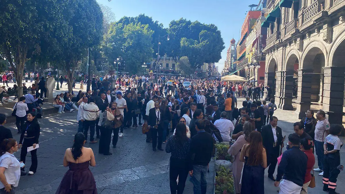 WhatsApp Image 2026-02-08 at 3.47.49 PM