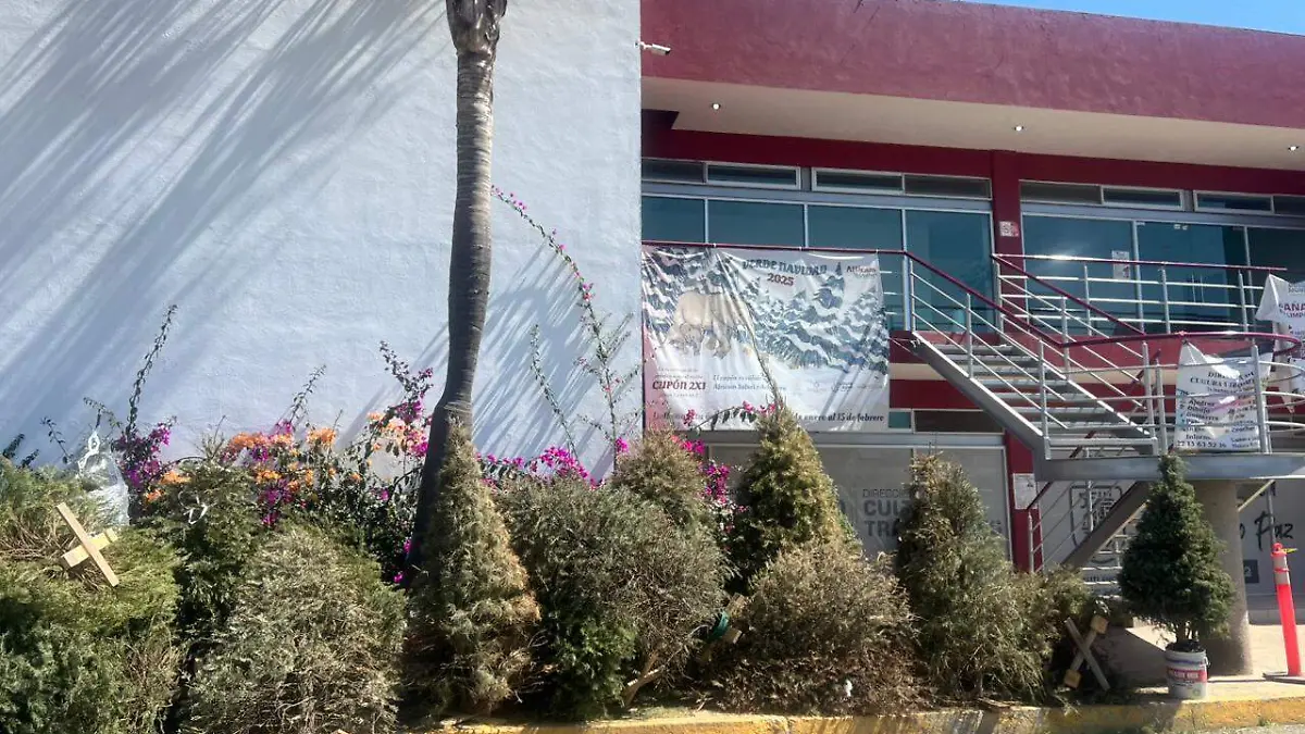 WhatsApp Image 2026-02-09 at 3.22.19 PM