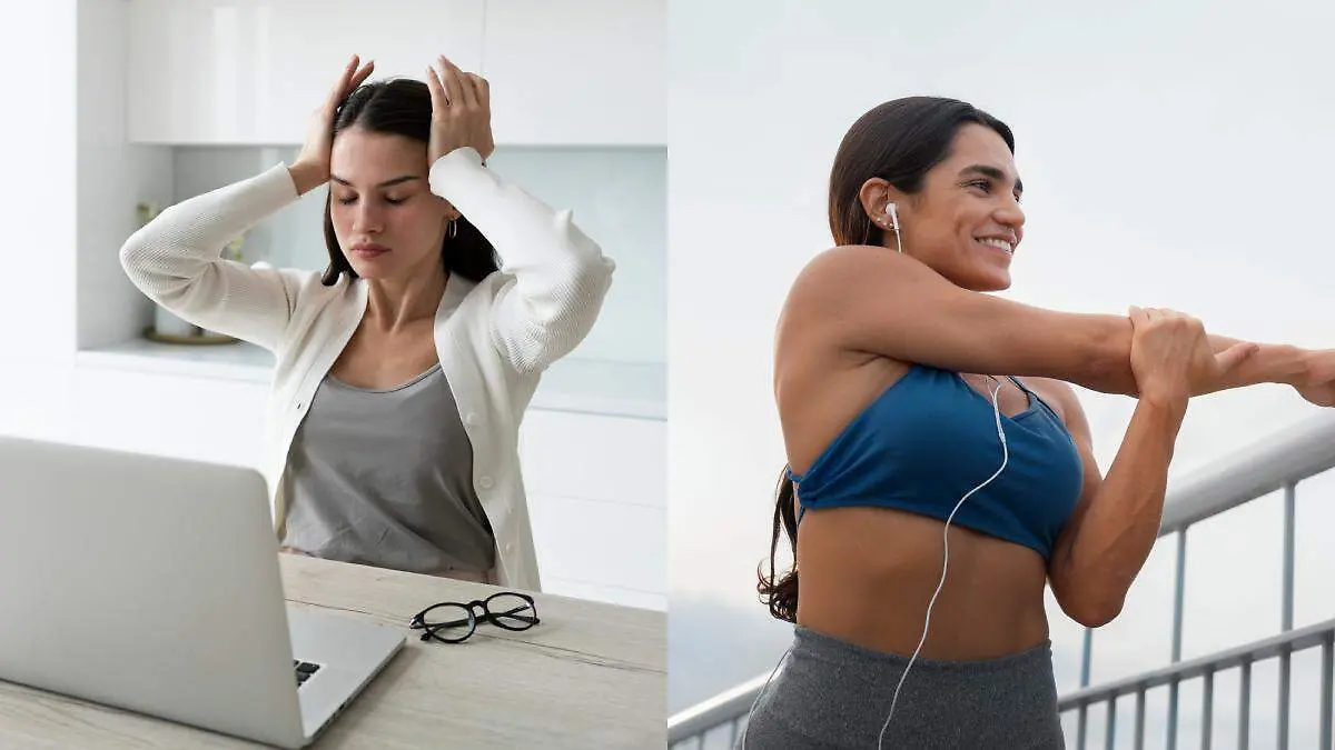 El ejercicio incrementa neurotransmisores con efecto antidepresivo, mientras que el estrés reduce la creación de nuevas neuronas