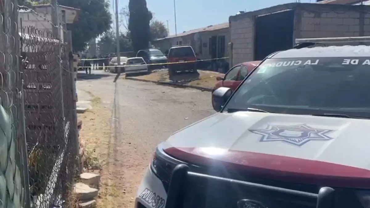 WhatsApp Image 2026-02-10 at 12.07.15 PM