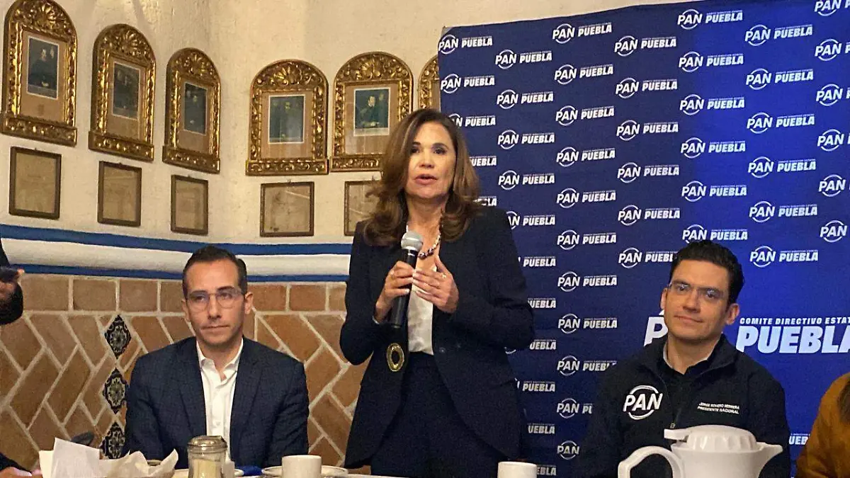 WhatsApp Image 2026-02-10 at 12.22.50 PM