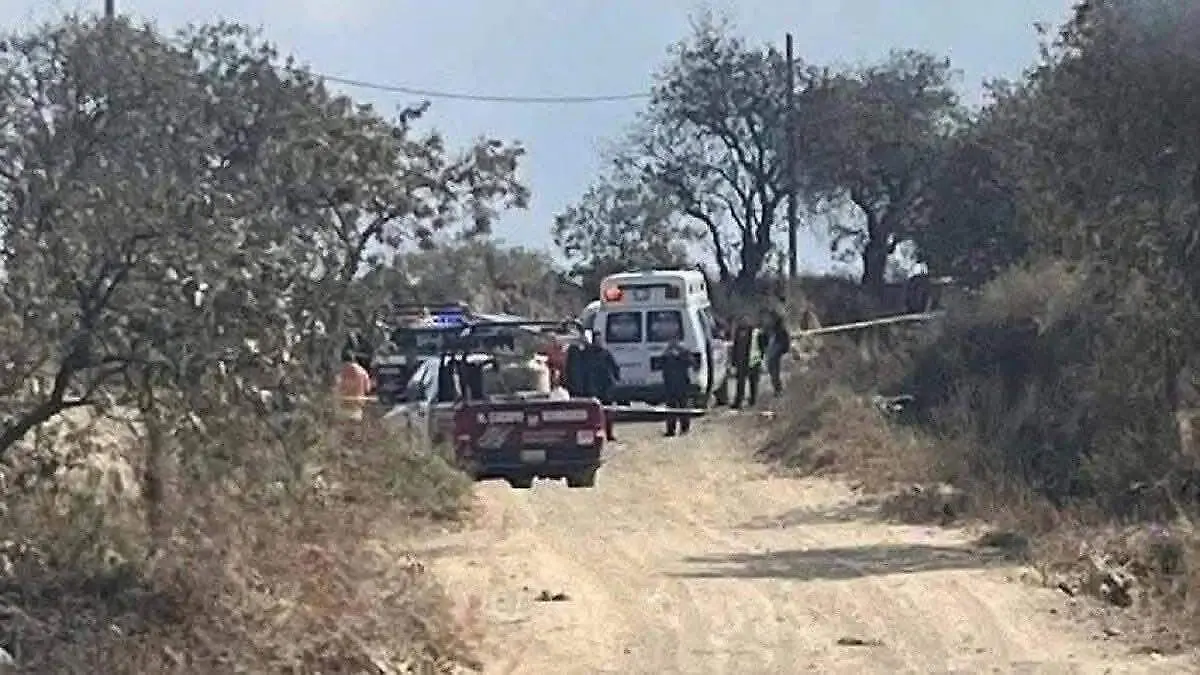 WhatsApp Image 2026-02-10 at 1.54.47 PM