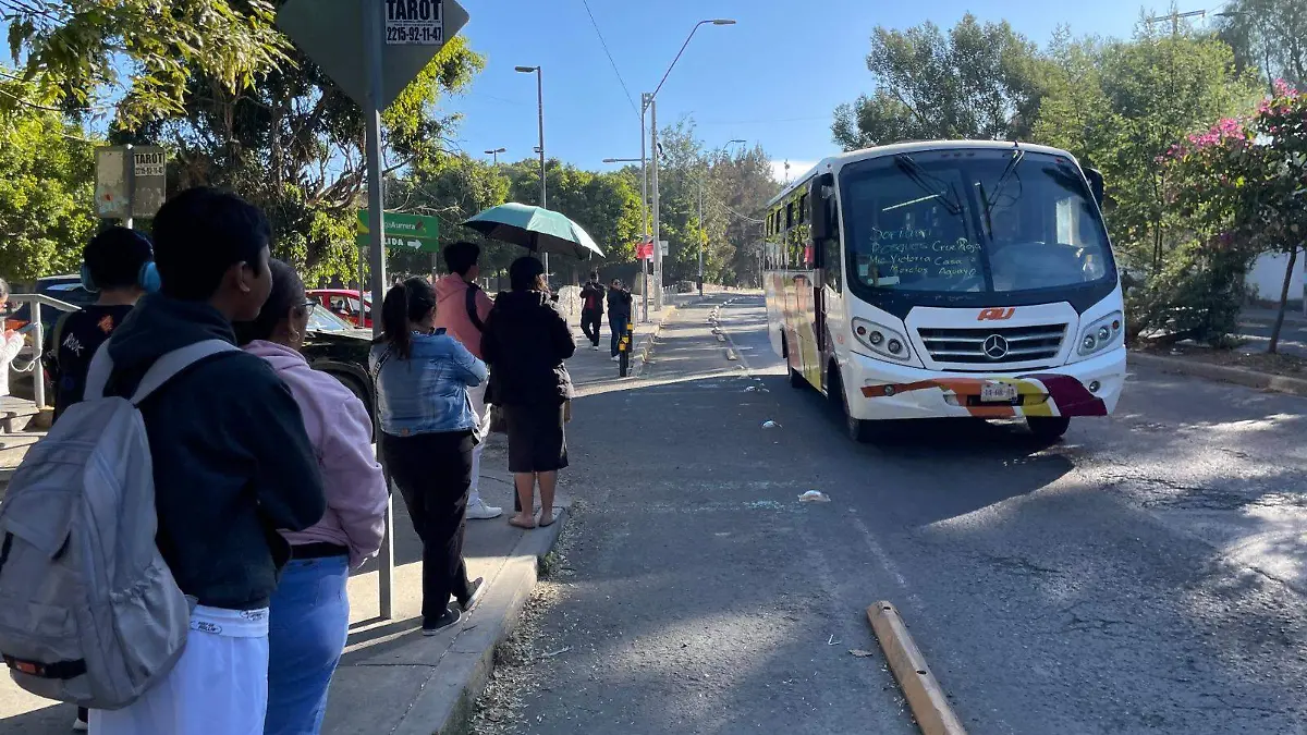 WhatsApp Image 2026-02-10 at 3.21.46 PM