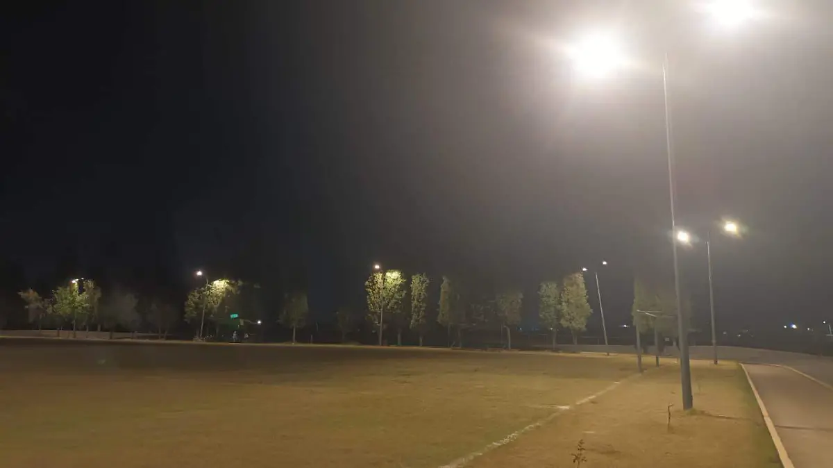 WhatsApp Image 2026-02-10 at 3.21.37 PM