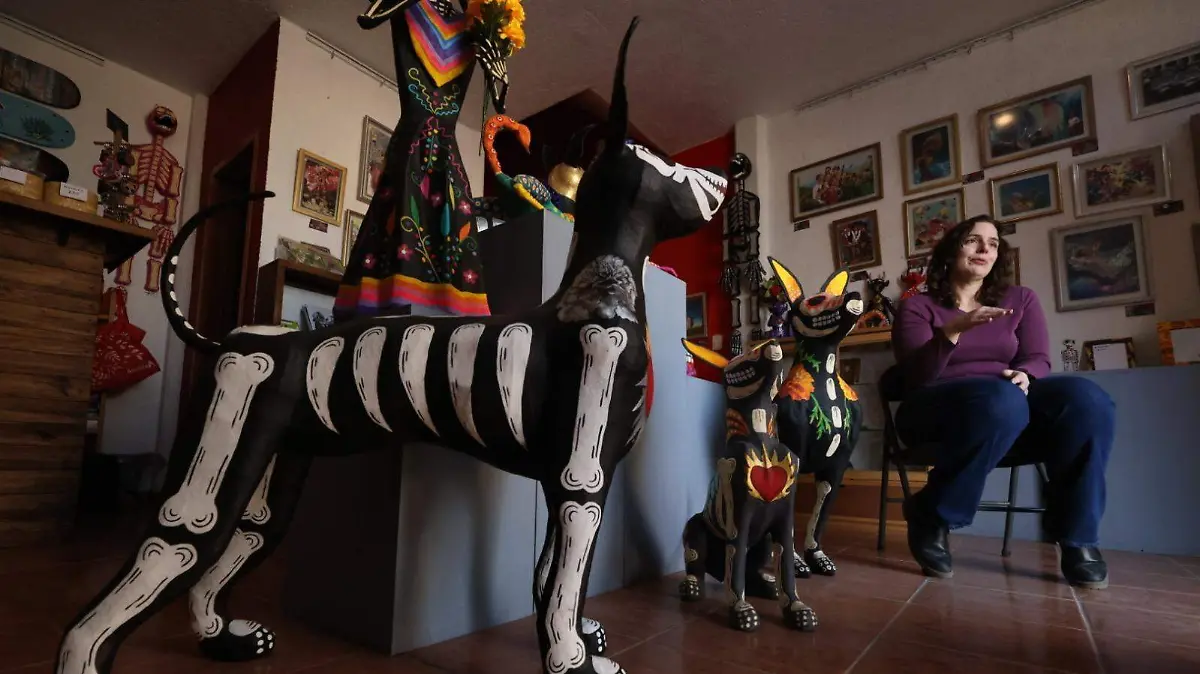 WhatsApp Image 2026-02-10 at 5.18.11 PM