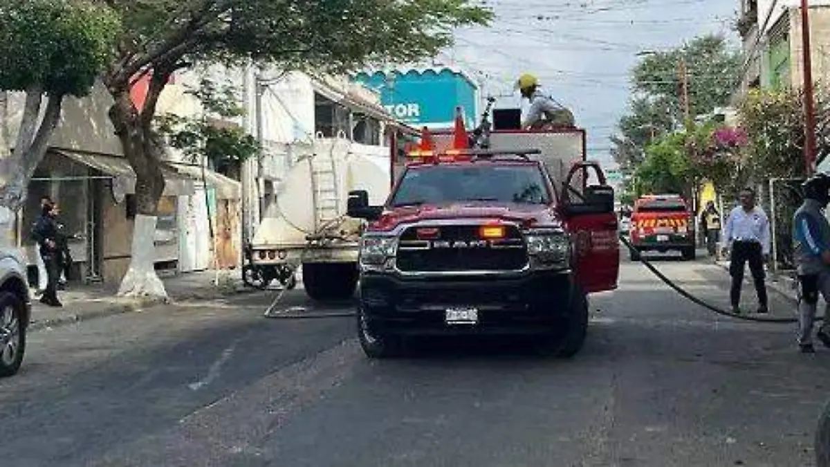 WhatsApp Image 2026-02-10 at 4.20.53 PM