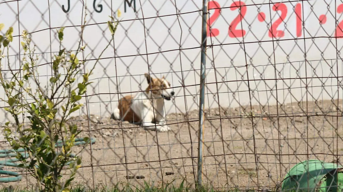 WhatsApp Image 2026-02-10 at 5.31.10 PM (1)