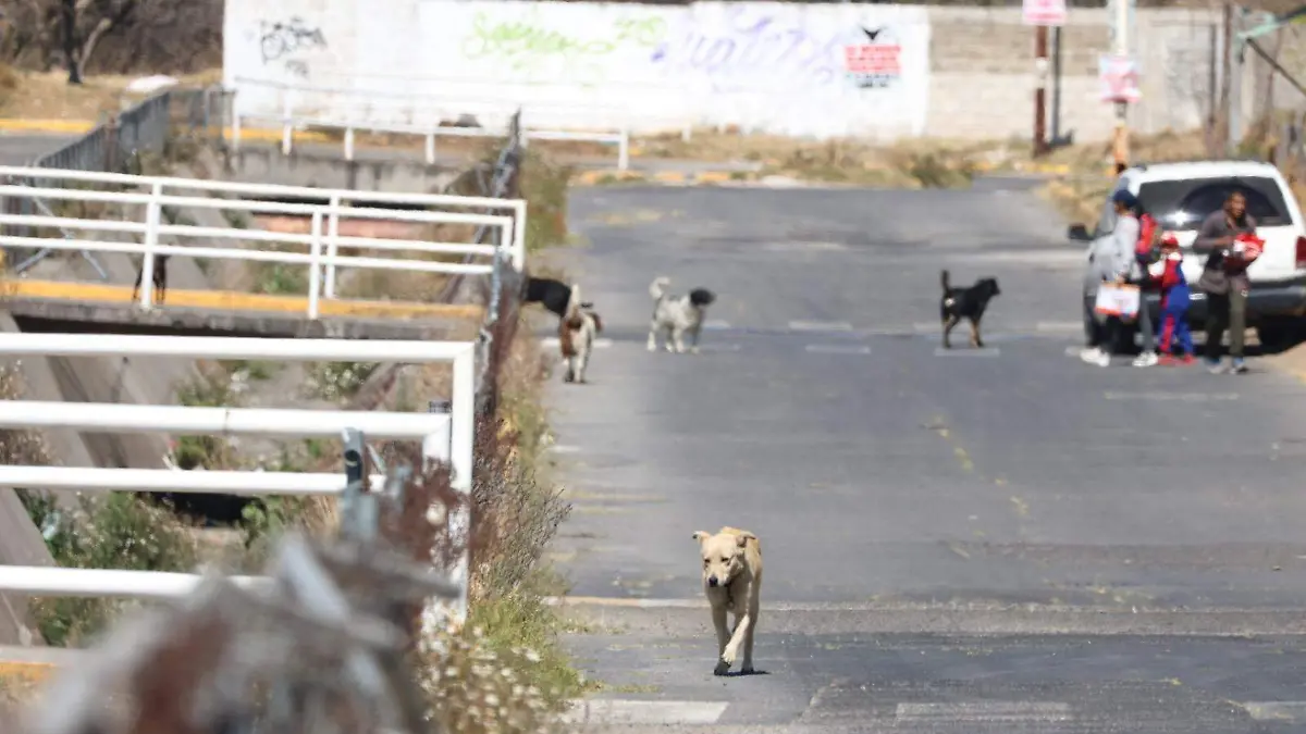 WhatsApp Image 2026-02-10 at 5.31.11 PM