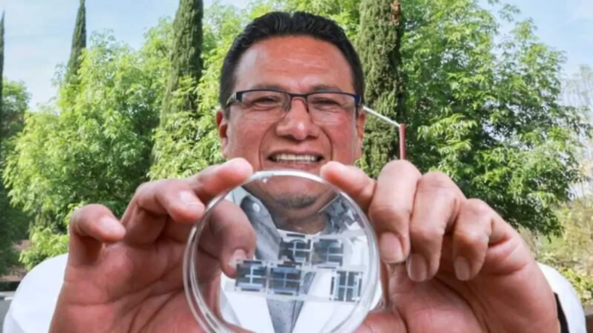 Las nuevas celdas solares orgánicas, fabricadas con materiales basados en carbono, destacan por su flexibilidad y transparencia